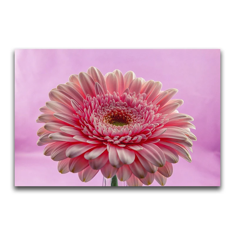 DIY 3D Diamond mosaic flowers Full Square Diamond embroidery Cross stitch Pink Full Round Diamond painting chrysanthemum