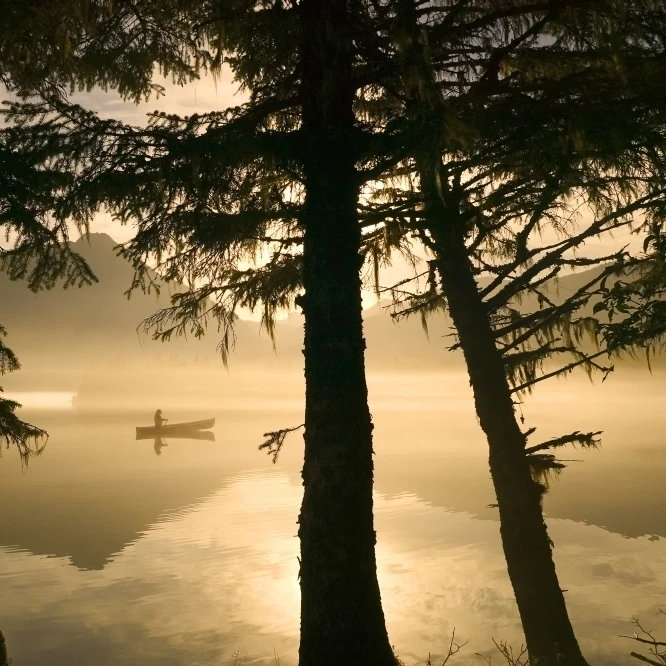 Canoeist On Mendenhall Lake In Morning Mist Se Ak Summer Silhouette Poster Print (34 x 22)