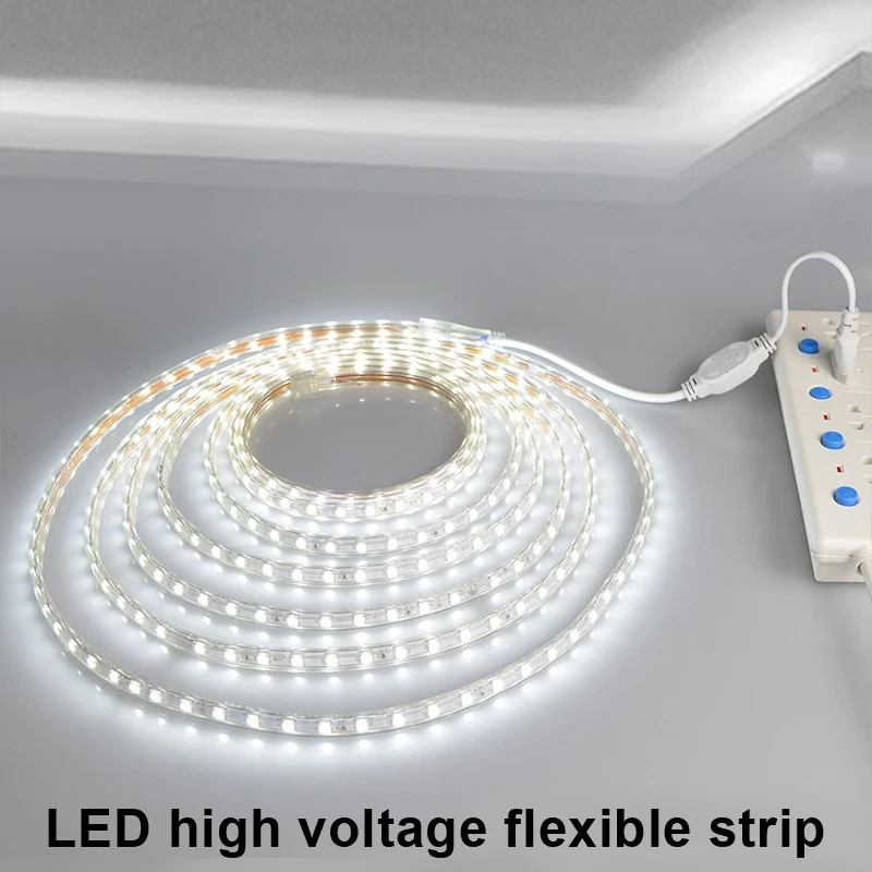 

Dimmable RGB LED Strip Light 220V SMD 5050 Flexible Light Waterproof LED Ribbon Tape Diode Tape for Kitchen Living Room 5M 10M
