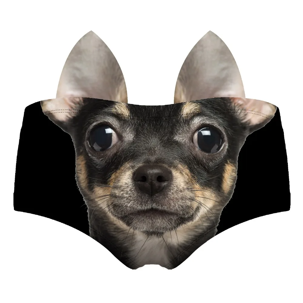 55113 pinscher wiz back