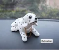 Dalmatian