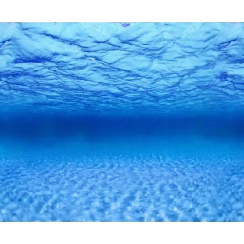 Poster Decor Fond Aquarium Poster Decor Fond Aquarium