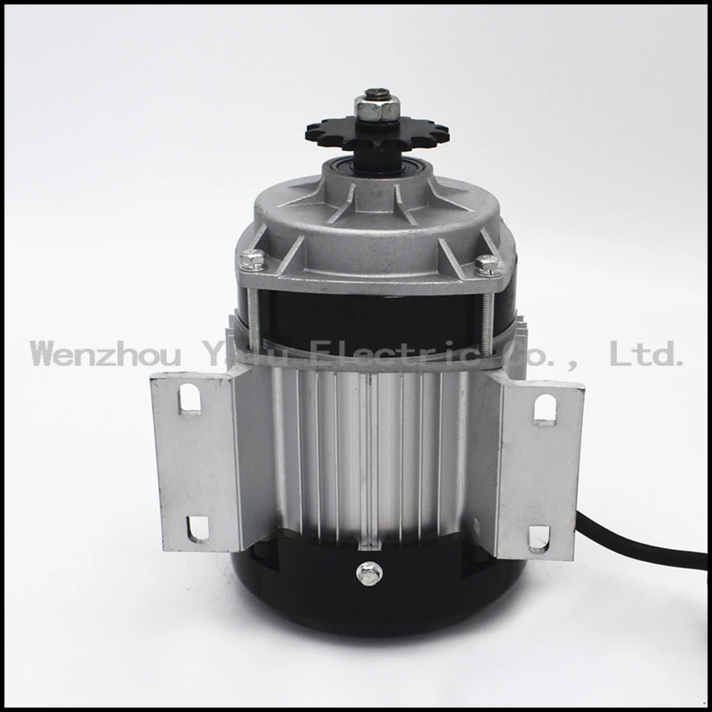 Clearance Small and medium sized electric tricycle fittings Permanent magnet DC brushless motor BM1418ZXF350W36V48V 4