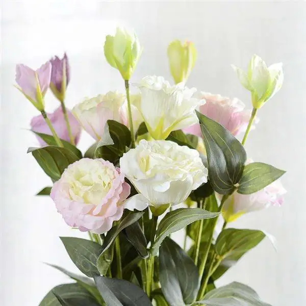 200 Pcs Eustoma Flower Potted Plant Lisianthus Variety Complete The