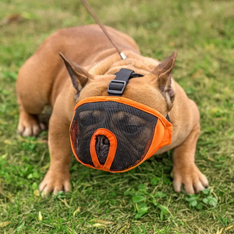 Ortilerri Cool Short Nasal Cavity Dog Bulldog Mask Anti Bite Barking