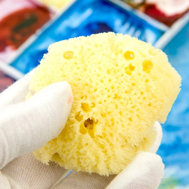 Sponge Painting Sponges Sea Paint Brush Craft Natural Art Artist Stenciling  Children Watercolor Acrylic Rollers Texture 