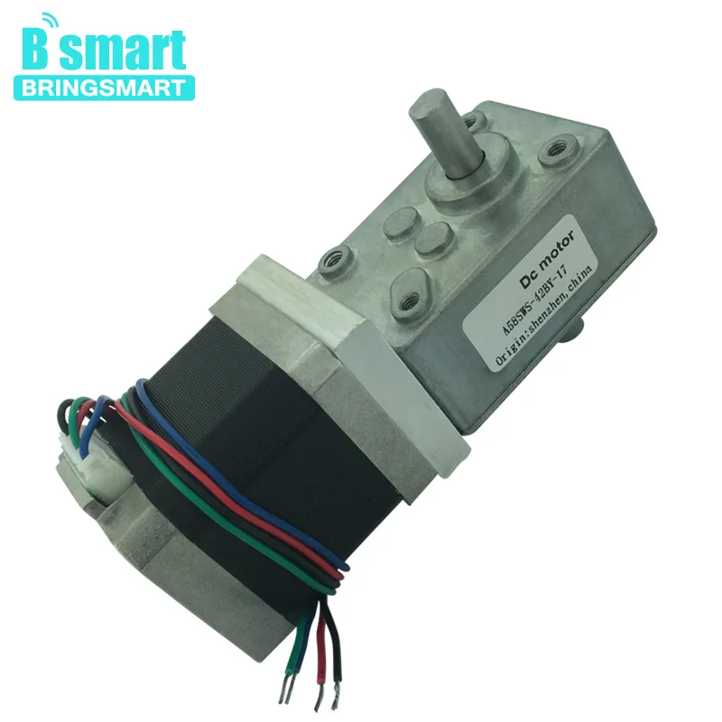 

Bringsmart A58SW-42BYS 12V 4-wire Dual Output Shaft DC Micro DC Stepper Motor 24V Electric Worm Reduction Motor Self-lock