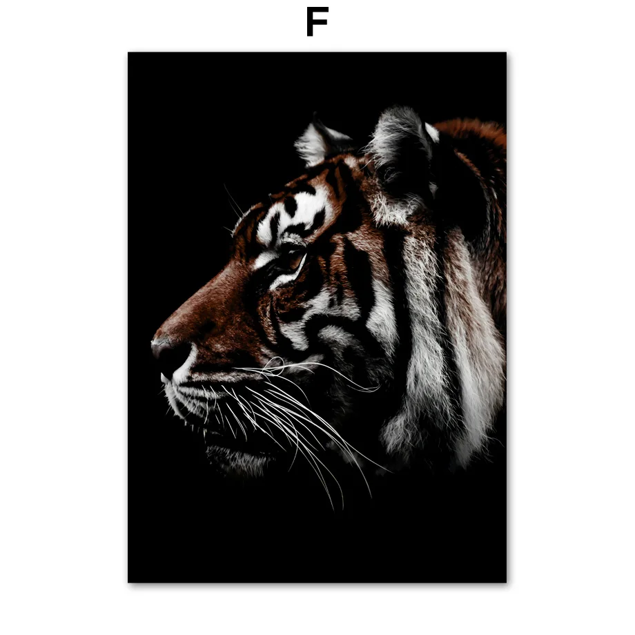 Лев, тигр, пантера, Зебра, бык, настенная живопись на холсте, скандинавские плакаты и принты, фотографии животных на стену для гостиной, домашний декор - Цвет: F