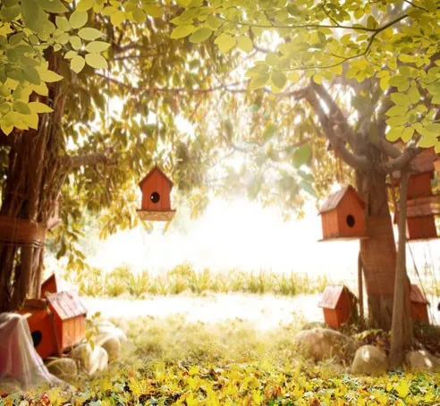 Bird House Hanging On Scenic Vinyl Background Photography
