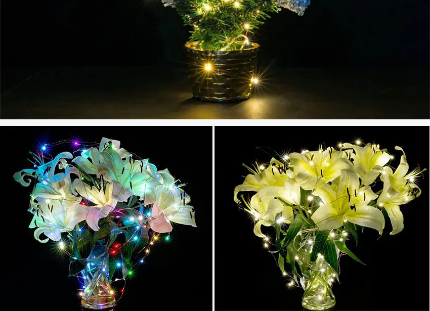 2m 3m 4m 5m 10m USB Battery Powered Waterproof LED Cooper Wire String Light Decoration Fair Lamp Christmas19