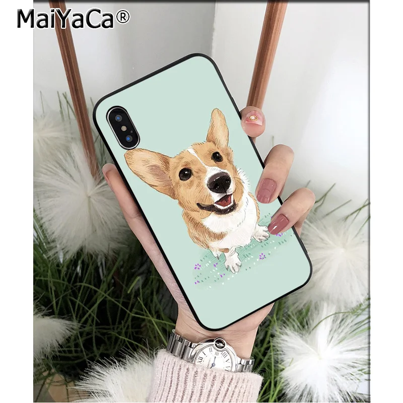 Animal Corgi dog