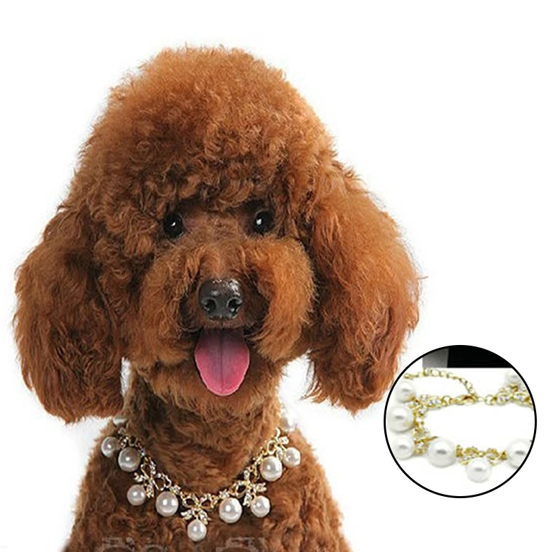 

Adjustable Pet Pearl Collar Cat Dog Necklace With Extension Chains Fashion Cute Pet Collars Neck Jewelry Accessories