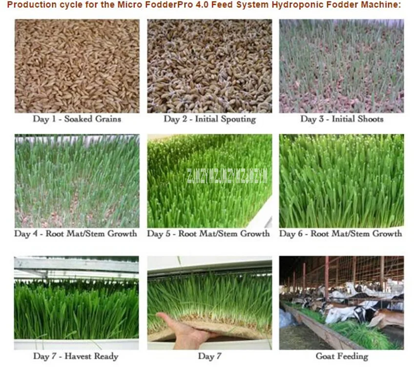 Хорошее качество высокое Выход Микро FodderPro 4,0 система подачи гидропонный кормовой аппарат для посадка травы 110 V-220 V 38W Горячая
