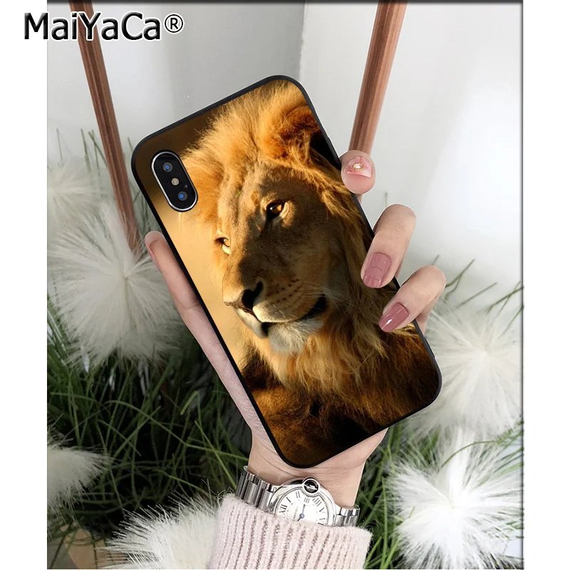 Cool Animal Lion