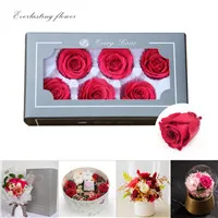 6 шт., высокое качество, консервированные цветы, цветок, бесморская Роза, диаметр 5-6 см, подарок на день матери, вечная жизнь, цветок, материал, подарочная коробка - Цвет: rose Red