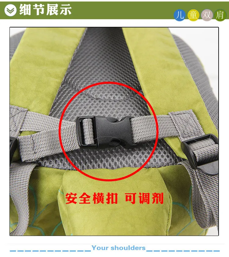 2655438036_1032728611