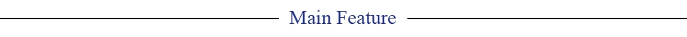 AMain Feature