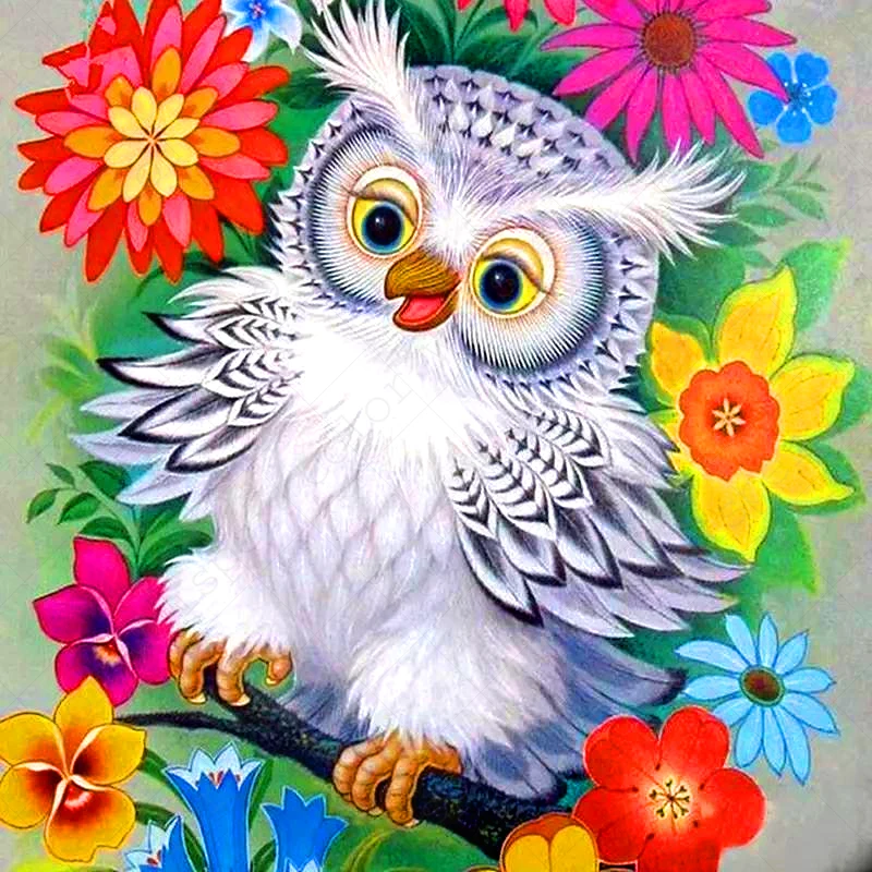 

Full Square Diamond Embroidery"Owl Cartoon Animal"Daimond Painting Diamond Painting Cross Stitch Rhinestone Mosaic LE01048