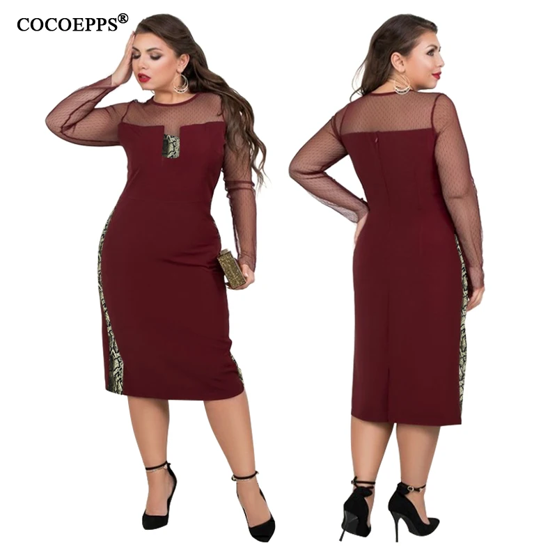 COCOEPPS  15
