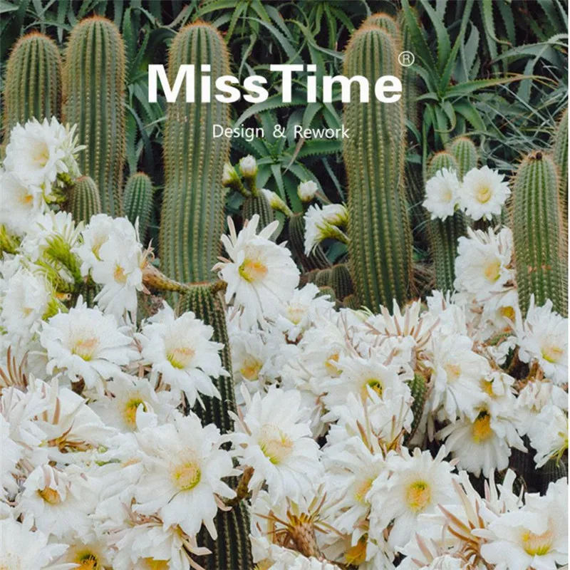 36020190102140440941