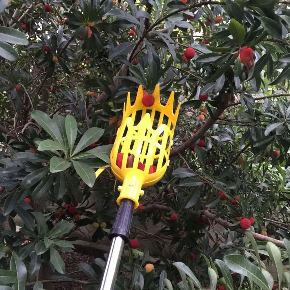 9 MPT Plastic Fruit Picker Without Pole Catcher for Harvest Picking Apple Mango Pear Peach Kiwi Lemon Tree Harvester Tool (Small)