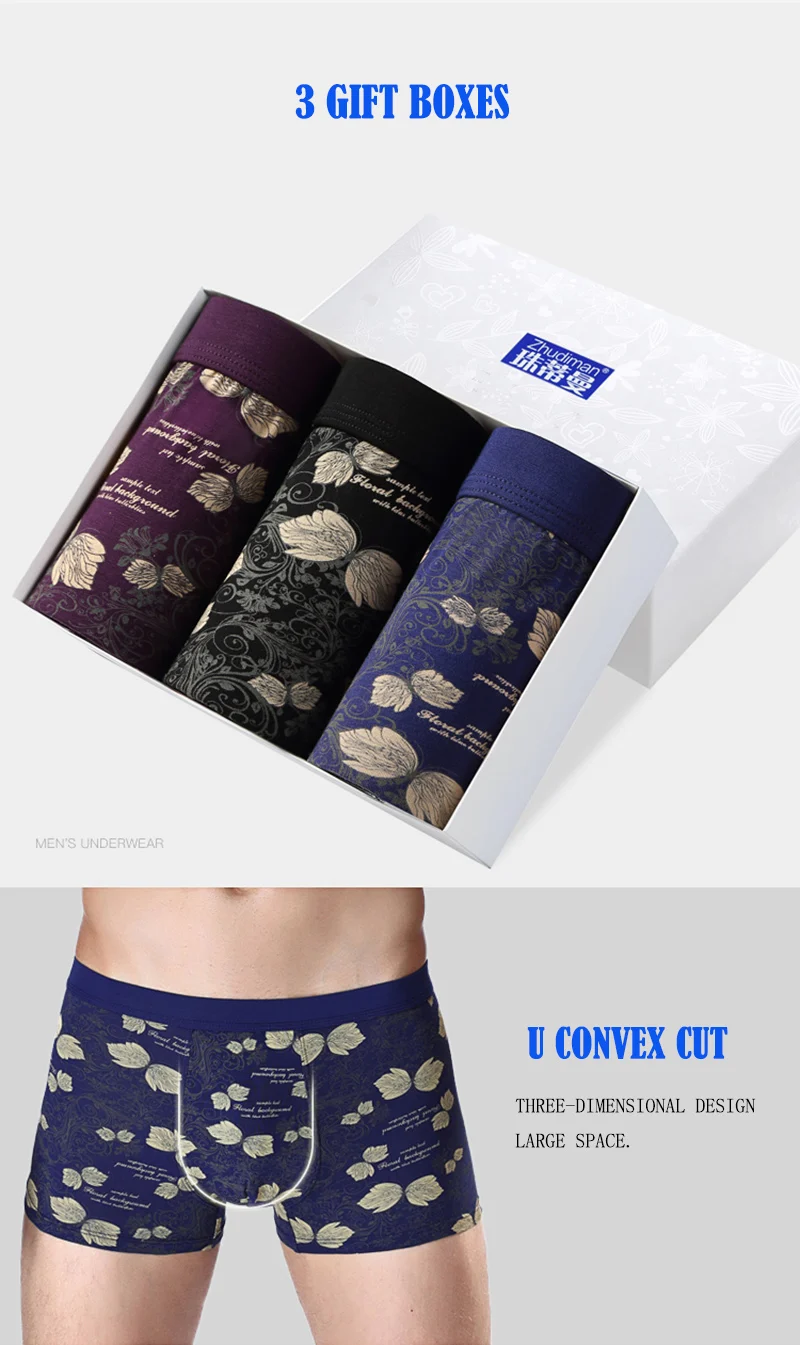 boxer004