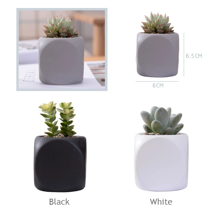 4062648126_675057837