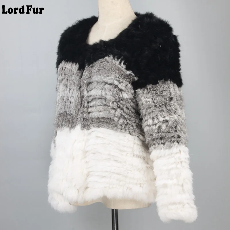 LF4031 (1)
