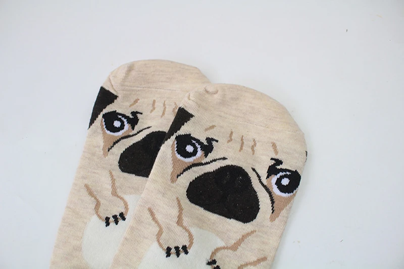 8597607877_1177570479