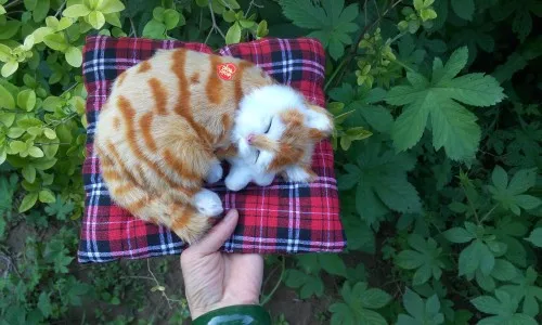 

18x13 см искусственная коричневая кошка, кошка miaow со звуком и ковриком, модель, украшение для дома, подарок h1353