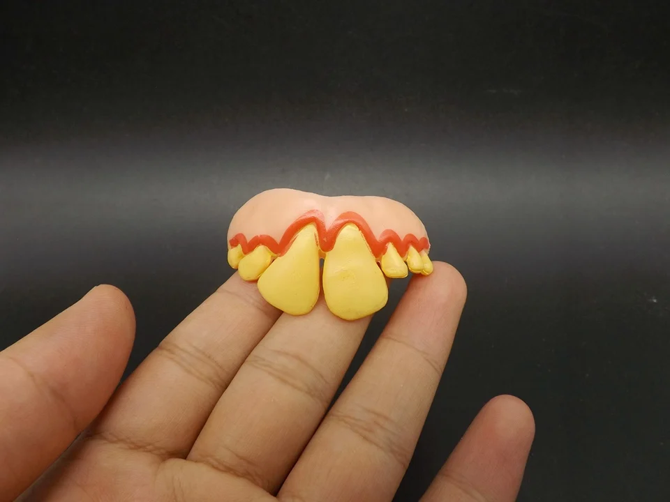 J191-Teeth (1)