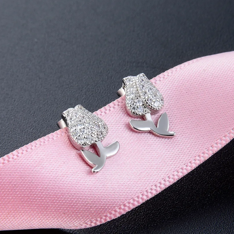 S925 Sterling Silver Zircon Earrings Ladies Fashion Ear Jewelry Wholesale | Украшения и аксессуары