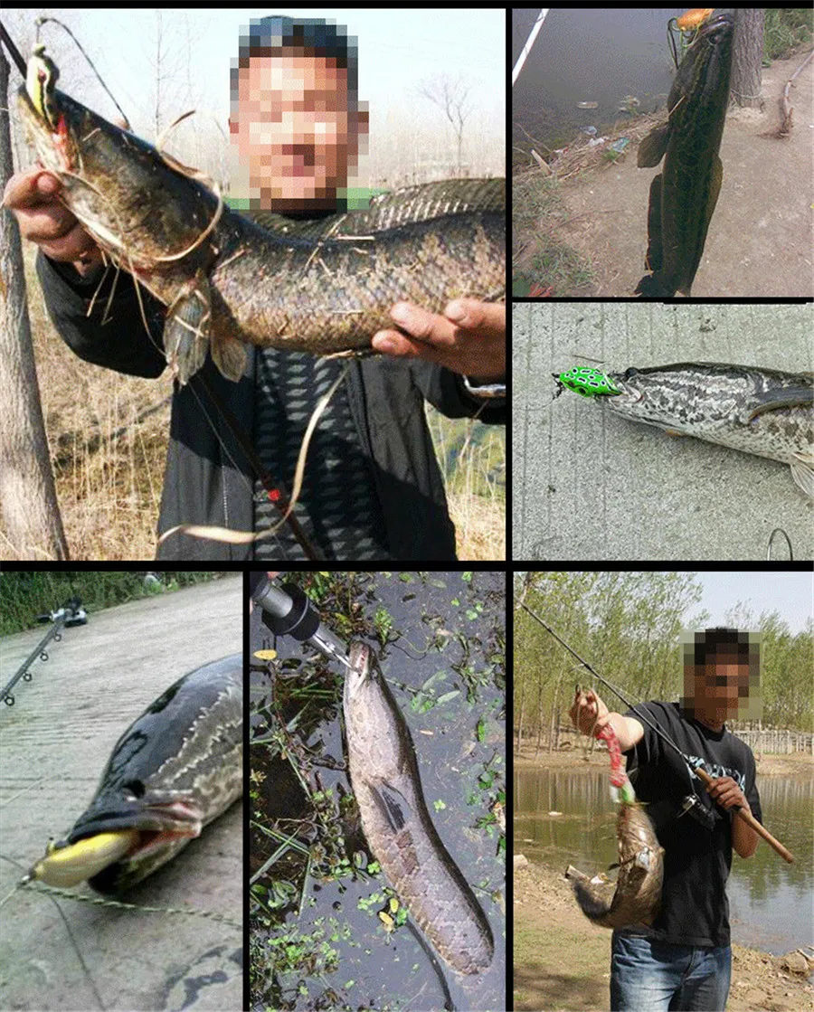 Silicone Frog Fishing Lure Ray Frog Artificial Soft Bait For Snakehead lures (8)