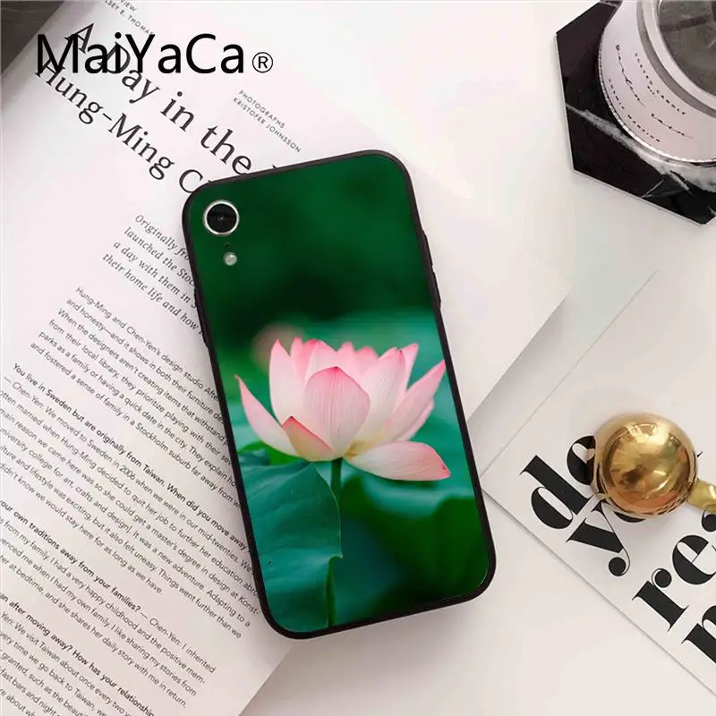 Flower Lotus Tulip