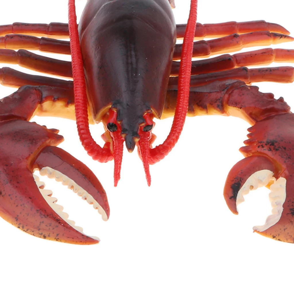 9 Inch Realistic Marine Animal Model Figurines, Plastic Lobster Action Figure Toy for Kids, Science Educational Toy, Collection