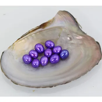 

Brightly colored rainbow oval charming pearls loose pearl beads freshwater oyster surprise oyster meaningful birthday gift LO015