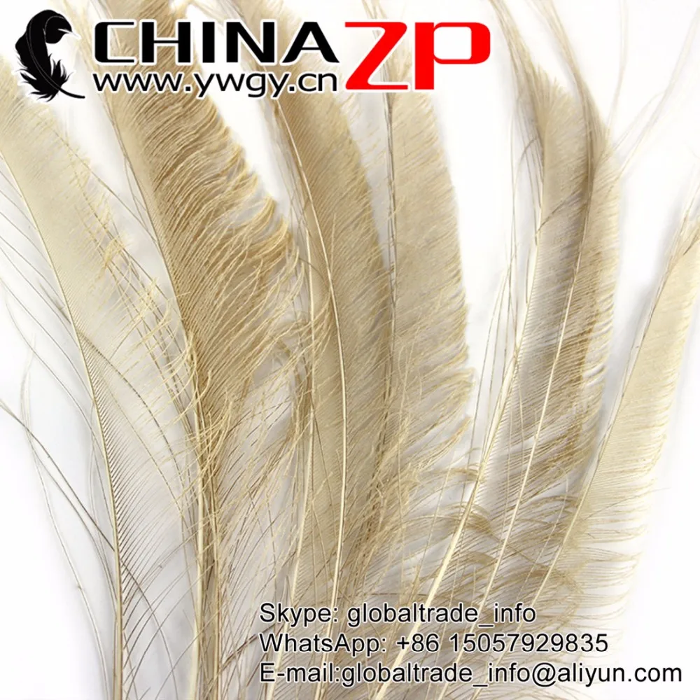 Peacock Sward Cut Feathers (5)