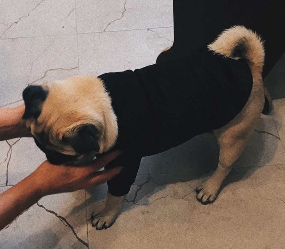 UTB8MxqbDFfFXKJk43Otq6xIPFXaW