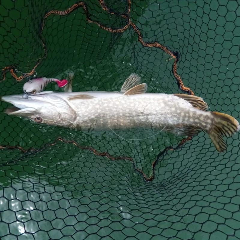 المملكة 2019 جديد طعوم طرية السباحة شاد مزدوجة هوك الصيد السحر 170 مللي متر 55g المياه المالحة Swimbait الصيد جيدة العمل لينة إغراء المملكة 2019 جديد طعوم طرية السباحة شاد مزدوجة هوك الصيد السحر 170 مللي متر 55g المياه المالحة Swimbait الصيد جيدة العمل لينة إغراء