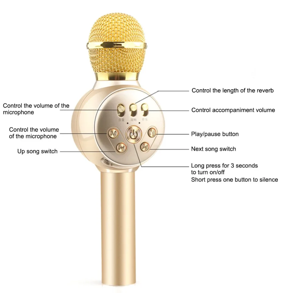 reverb microphone toy