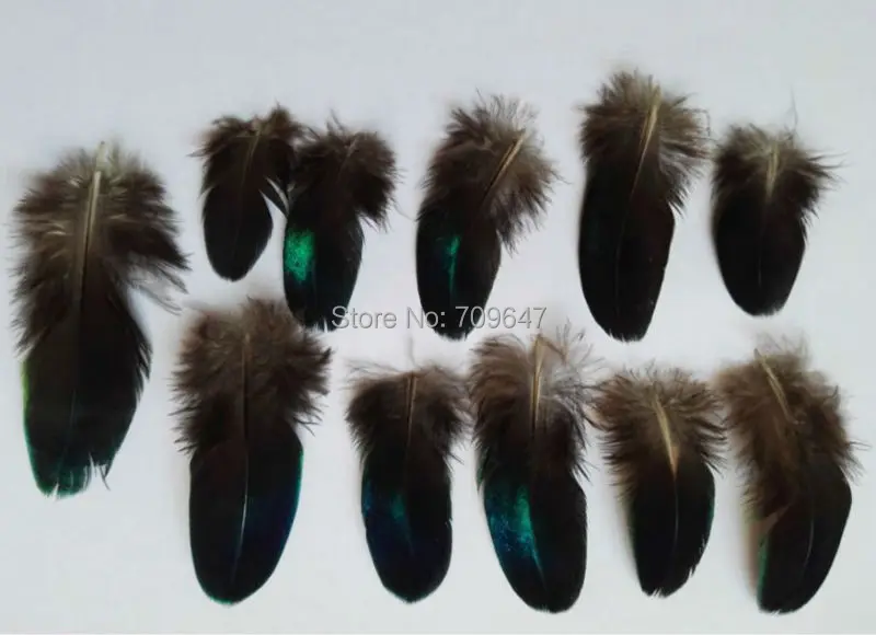 

30Pcs/lot!5-10cm long Rare BLUE PEACOCK PLUMAGE WING FEATHERS LOOSE PEACOCK FEATHERS