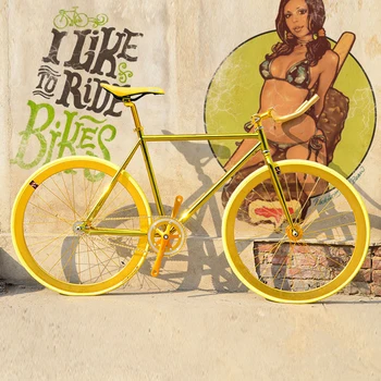 

Fixed Gear Bike Retro Steel Frame track bike 700C 48cm 52cm Road Bike Steel Frame single speed Bicycle DIY color