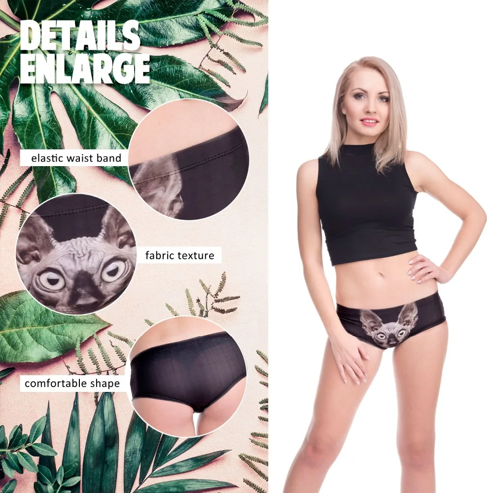 37063 SPHYNX CAT (2)
