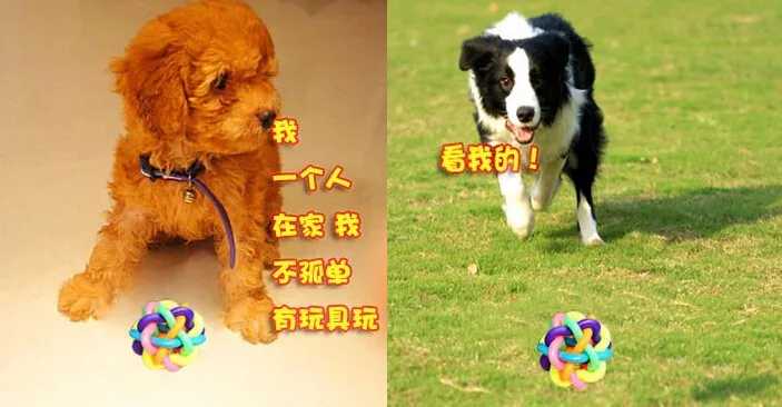 Оптом!, 300 шт/партия, Радужный цветной щенок, резиновый колокол, Звуковой шар, собака, кошка, забавная игрушка для игр