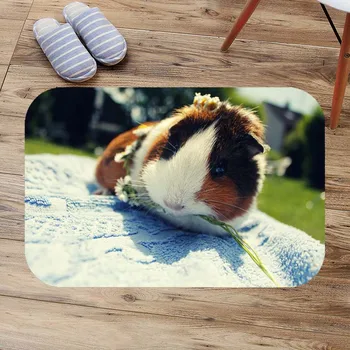 

Guinea Pig Coral Fleece Indoor Doormat Non-slip Bathroom Floor Mat Custom Living Room Door Mats Bath Rugs Kitchen Carpet
