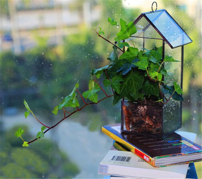 Glass Terrarium3.jpg