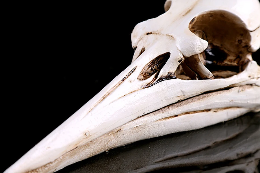 3069621786_509990420