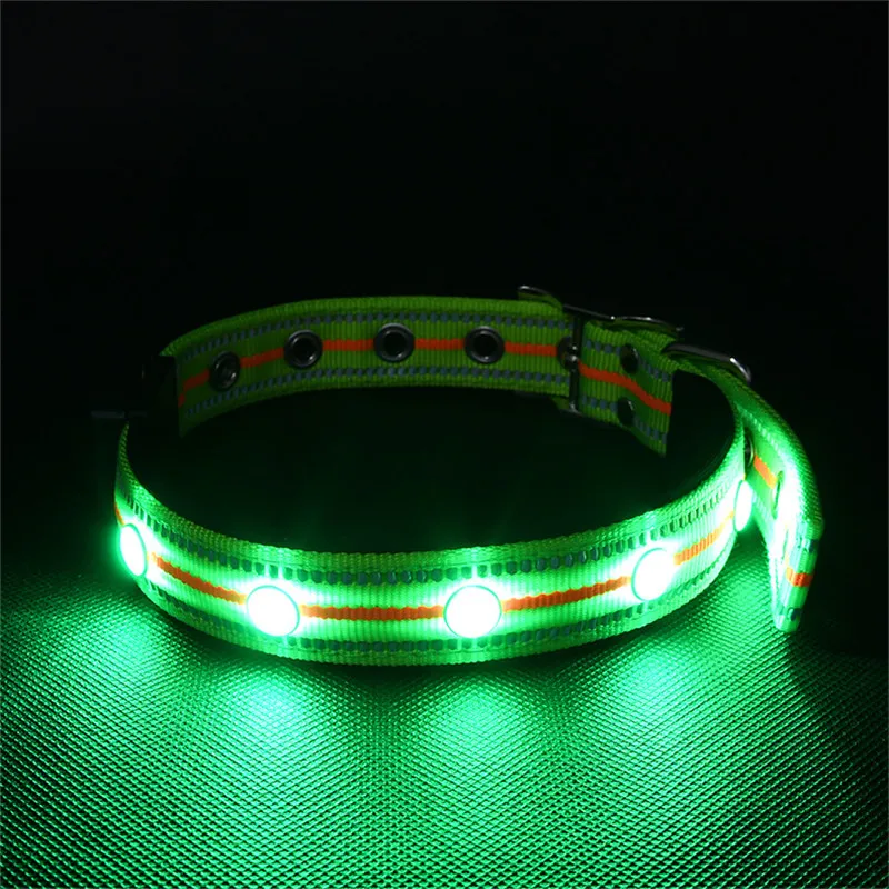 LED Dog Collar USB (3)