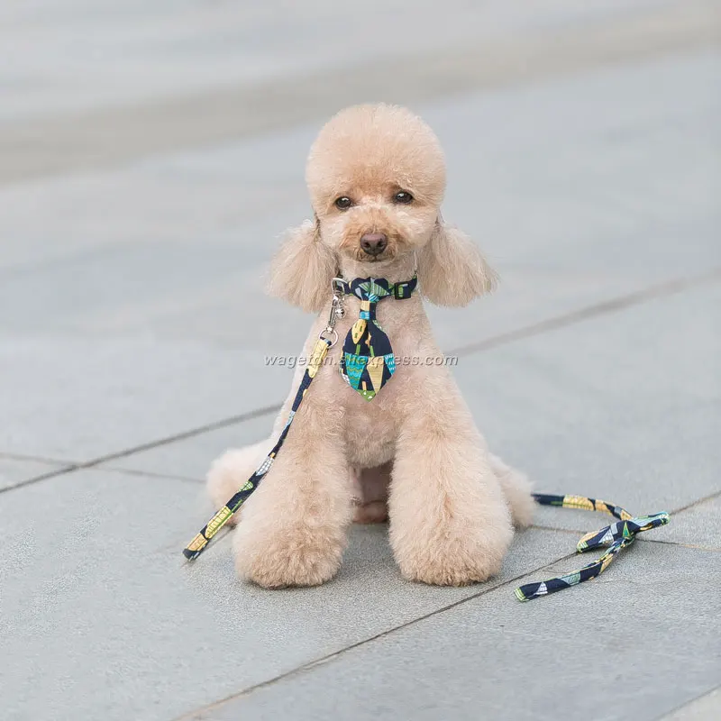 8 dog collar leash holder 