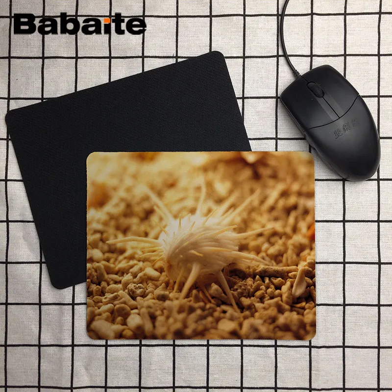 QLB02975